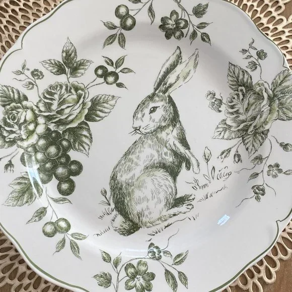 Maxcera Easter Bunny Rabbit Green White Toile Dinner Plates ~New ~Set of 2 - Picture 4 of 7